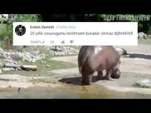 Deep Turkish Web osuran su aygırı