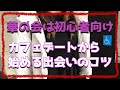 華の会メールでのカフェデートは出会い確率高めです!中高年のマッチングアプリ初心者には特におススメな理由と素人サクラを避ける立ち回り方