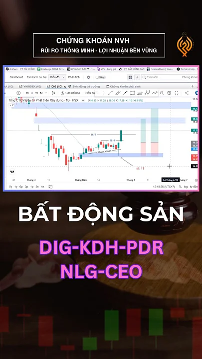 Chứng khoán hôm nay/ phân tích nhóm ngành #batdongsan tăng Trần : DIG - CEO - PDR- KDH - NLG