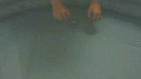 CMU Water Strider Robot