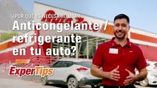 ¿Por qué es necesario usar Anticongelante/refrigerante en tu auto | ExperTips AutoZone