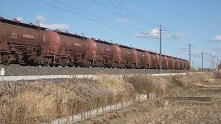 常磐線 安中貨物 5094レ EH500-43+タキ1200形12B 友部~内原 通過 2019.01.02