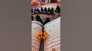 #القرآن_الكريم #ال_عمران #سورة_ال_عمران #quran #اكسبلور #المصحف