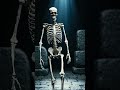 How bones move