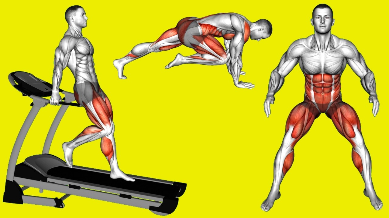 Intense Full Body HIIT Workout - Burn 500 Calories!