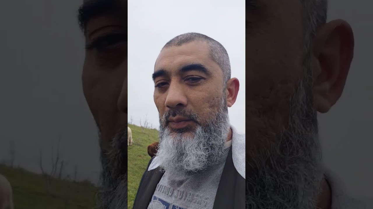 Адашкан блогерлар 