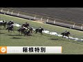 【2023】箱根特別 東京競馬場9R ｜ウイニング競馬 2023年2月11日（土）
