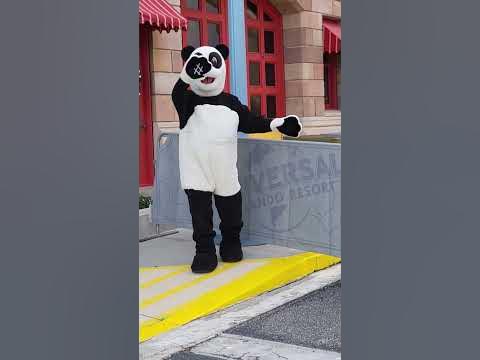 PANDA BEAR LIVE CHARACTER FUN - UNIVERSAL STUDIOS ORLANDO FLORIDA MEET
