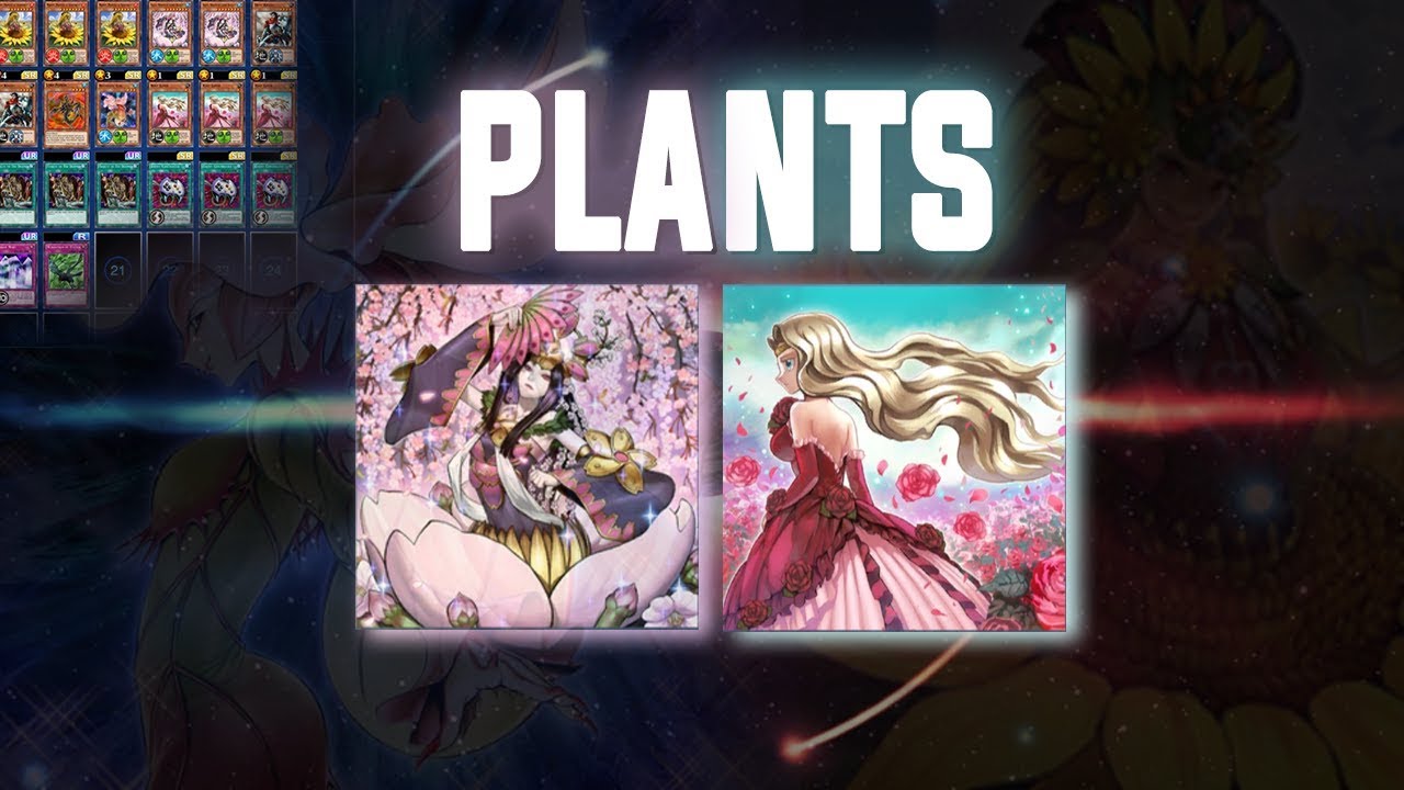 yugioh duel links jack atlas deck So I just maxed out Jack Atlas and I was wondering, is Dark Bug good in a  synchro deck? : r/DuelLinks