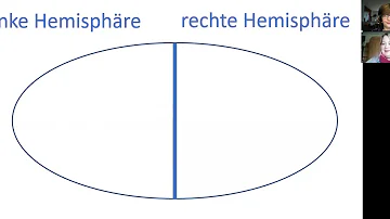 In welchem Alter legt sich die Händigkeit fest?