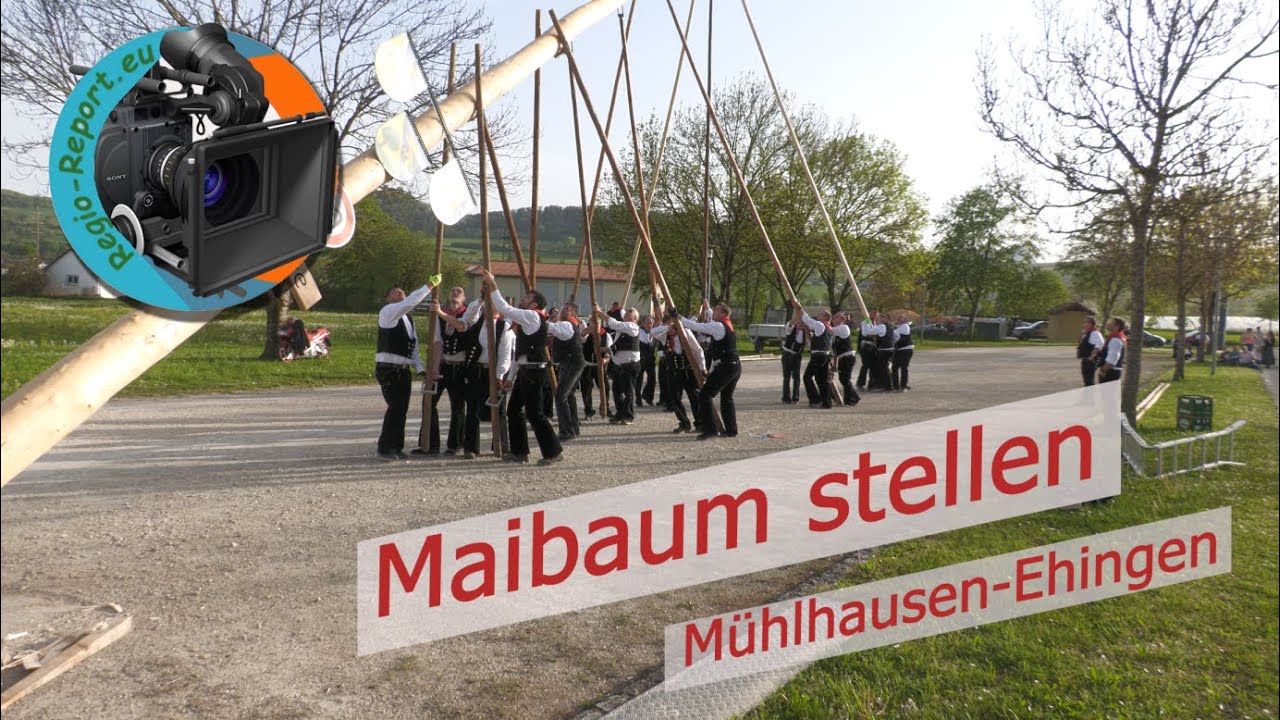 Maibaum Mühlhausen-Ehingen 2024