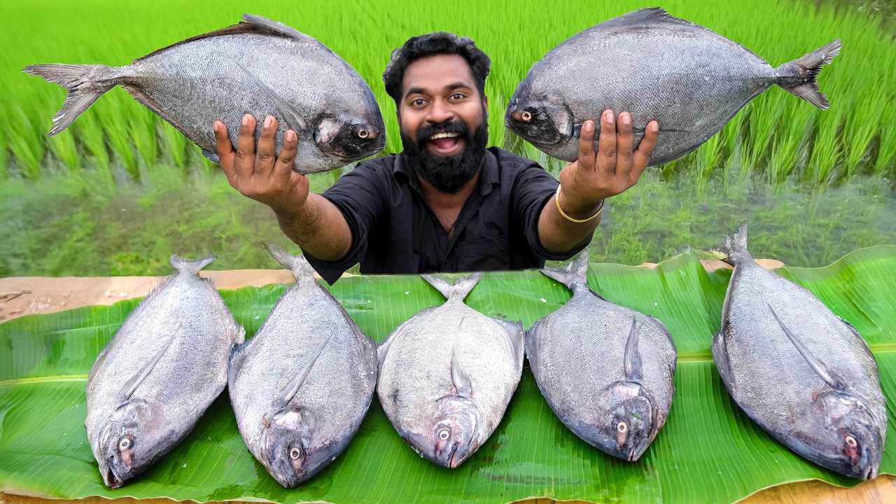 Giant Avoli Fish Grill | ആവോലിമീനെ ചുട്ടത് | M4 Tech |