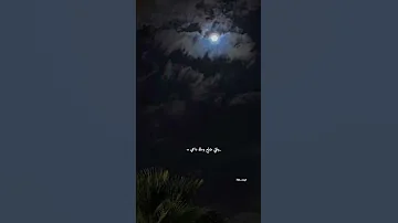 عايض ما فضيت اغاني بدون موسيقى 