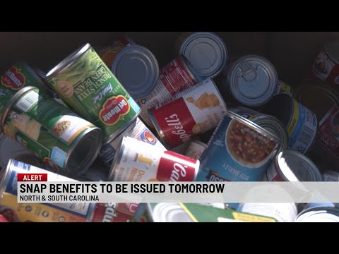 SCDSS announces issue of full November SNAP benefits