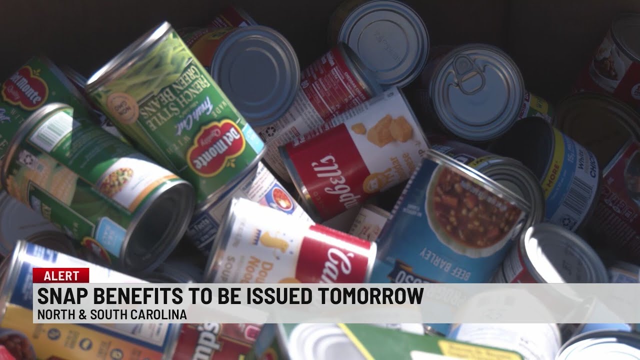 SCDSS announces issue of full November SNAP benefits - YouTube