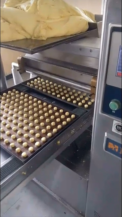 Wirecut cookie ​⁠@karbakeryequipments #kar #machine #bakerymachines #bakery #automobile