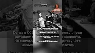 ТАБУРЕТКА — ГЛАВНОЕ ОРУЖИЕ В БИТВЕ ЗА КУРИЦУ #shorts #news #интересное