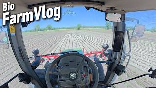 Warum schütten wir Soja zu beim Hacken? Vlog 226