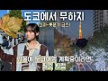 도쿄 사는 한국인의 도쿄 관광
