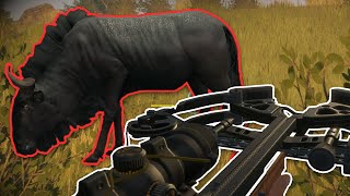 Crossbow Hunting in Vurhonga Savanna | theHunter: Call of the Wild screenshot 5