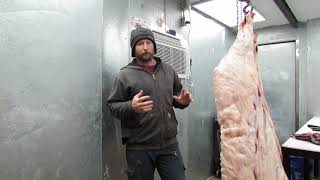 DIY On Farm Butcher Shop Walkthrough and Whole Hog Processing