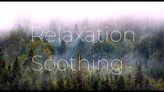 Relaxing Music Soft Rain: Music Sleeping Calm, 20 Pieces Piano Music Healing Music Soothing 10 Hours screenshot 4