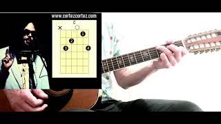 Video thumbnail of "How To Play "POWDERFINGER" by NEIL YOUNG | Acoustic 12 string guitar tutorial"