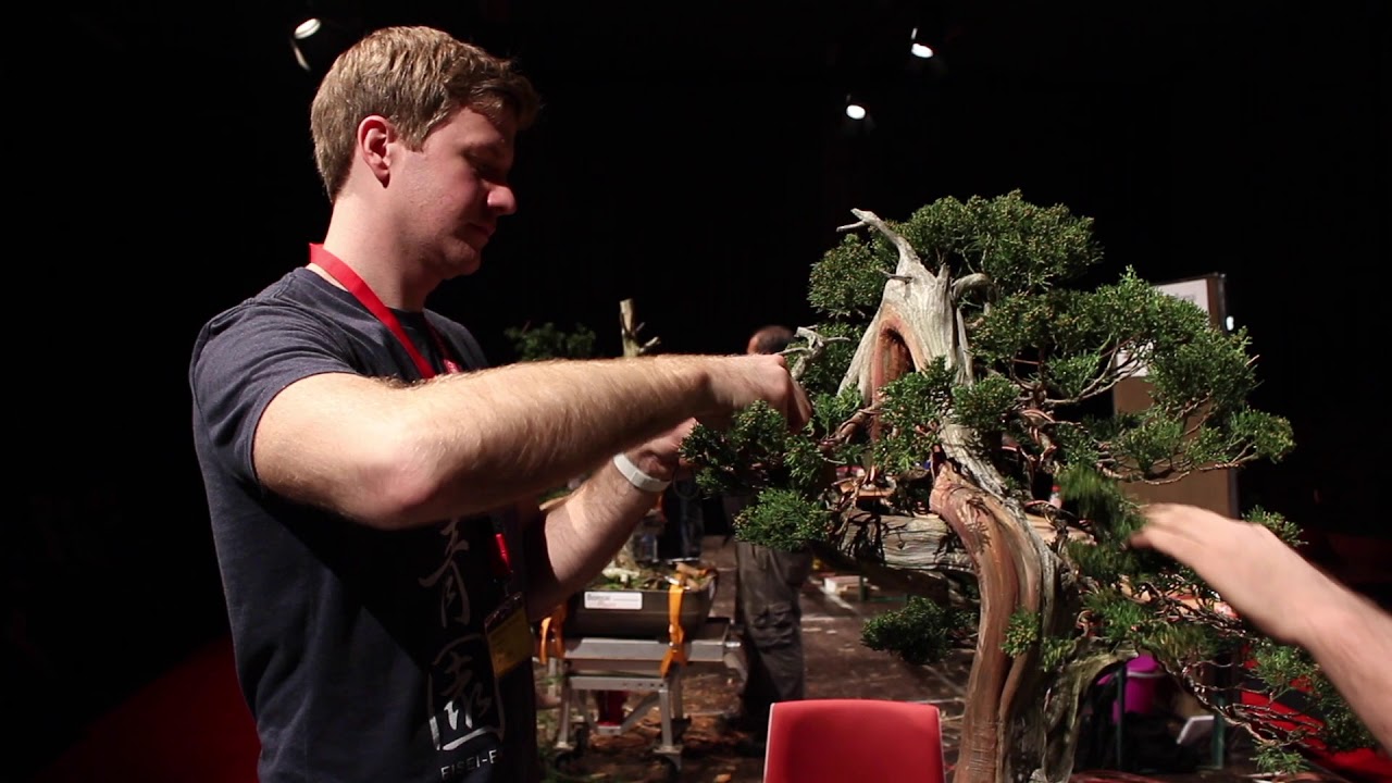 Bjorn Bjorholm Bonsai demo YouTube