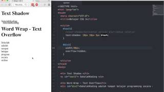 5 word wrap dan text overflow