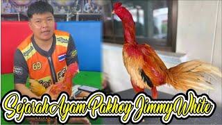 Sejarah Jimmy White, Ayam Pakhoy Terbaik Tahun 2023
