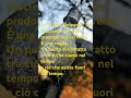 Cos’è la #coscienza? È una risposta che c’è già dentro di te Il #NonUniverso #jamesalma #libro #alma