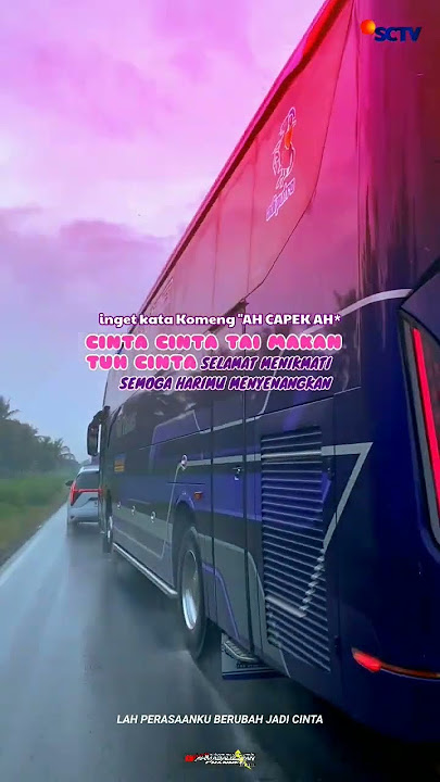 Story wa bus Cinematic PHD Trans 1 menit FTVibes #busmania #storywabusmania #adiputro #masukberanda