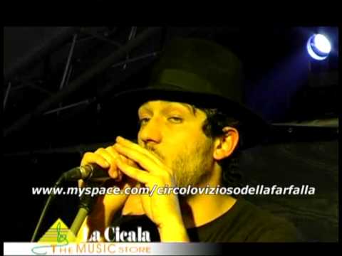 SE C'E' PIPPO (live) - CIRCOLO VIZIOSO DELLA FARFALLA