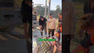 Aman Tanrım, yeni aldığım araba!