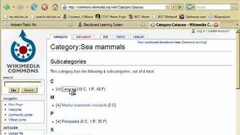 Wikimedia: selecting an image