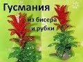 Гусмания из рубки и бисера часть 1