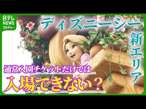 【ディズニー】新エリアに入場する際、入園チケットのほかに必要なものは オープンまで残り1か月