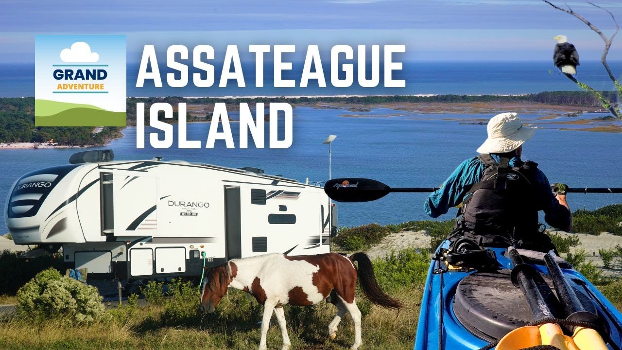 Ep. 380: Assateague Island National Seashore | Maryland wild horses RV travel camping kayaking