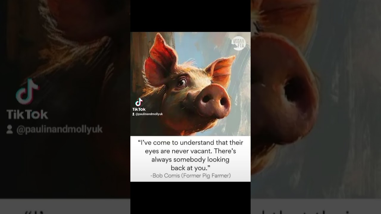 Mercy For Animals 🙏 