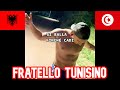 FRATELLO TUNISINO 