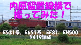 【ドナドナ♪K419編成】JR常磐線 内原留置線横で撮ってみた！キャストは、E657系、E531、EF81に連れられたK419編成、EH500です。