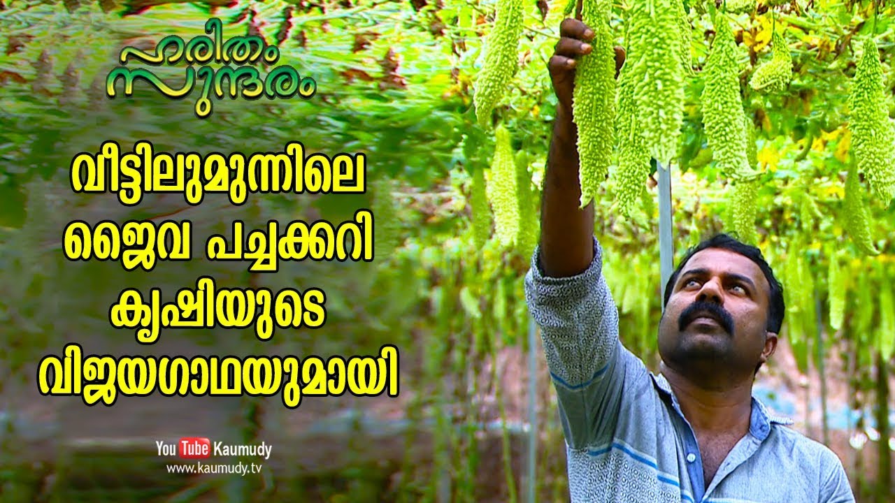 The profitable organic vegetable farming in front of a House | Haritham Sundaram | EP 198