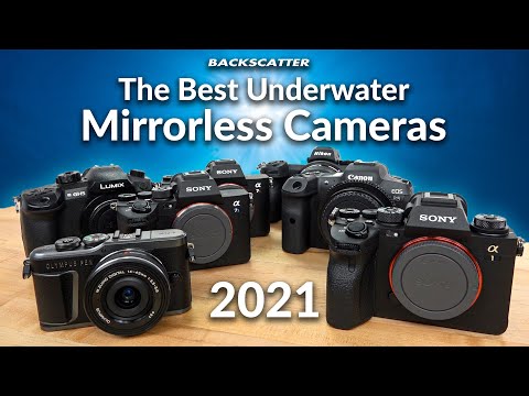 Best Underwater Mirrorless Cameras 2021