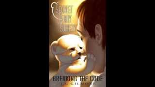 Secret Teddy Society Prologue - audio book