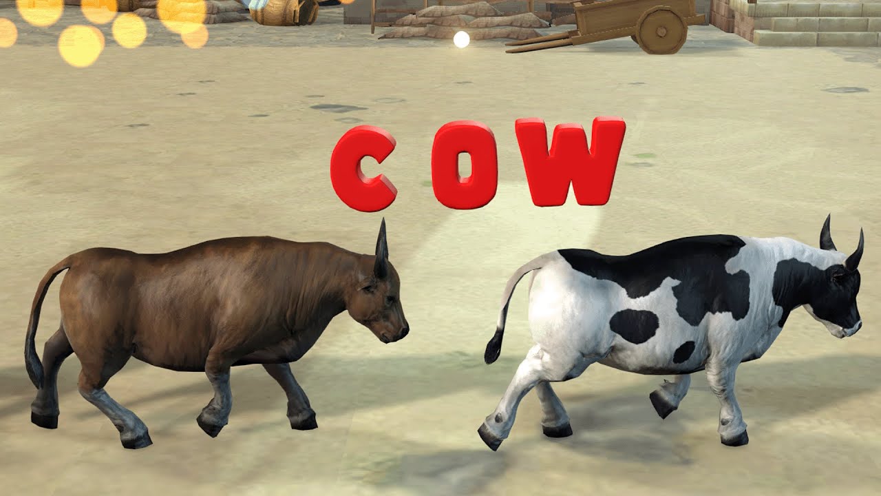 5 Cartoon,Tiger,Cow,rabbit,Gorilla,Hamsters,Dog,Cat Wild Animals Crossing Fountain 2024