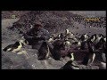 Przyroda antarktycznej wyspy wodzimierz puchalski
