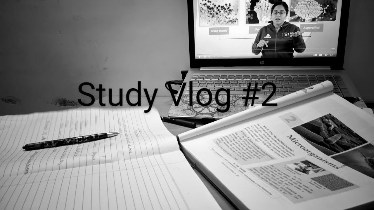Study Vlog #2|N Vlogs| - YouTube