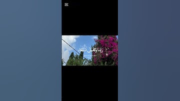 سورة إبراهيم. الشيخ المنشاوي #صلوا_على_النبي #قرآن #Kareem_Ahmed_saad قران.  #لا_اله_الا_الله