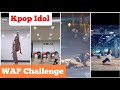 KPOP Idol doing WAP Challenge (Hyolyn, Seung Yeon, Yuji and Lisa)