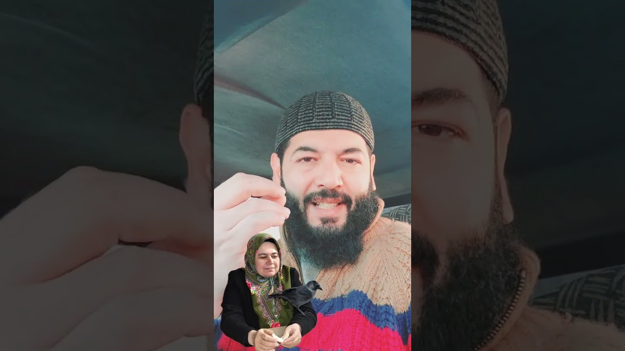 👈 هي سرقت اللحم من أم زوجها والغراب ثأر منها يا سبحان الله,,, إسماعيل باهي أبو لؤي الجزائري